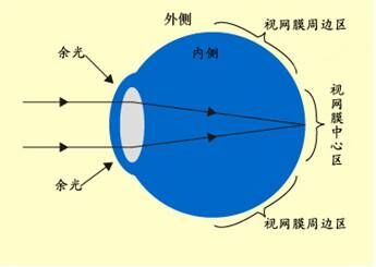 视觉后像是什么原理_视觉错觉